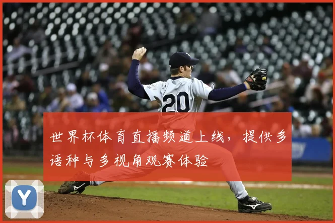 世界杯体育直播频道上线，提供多语种与多视角观赛体验