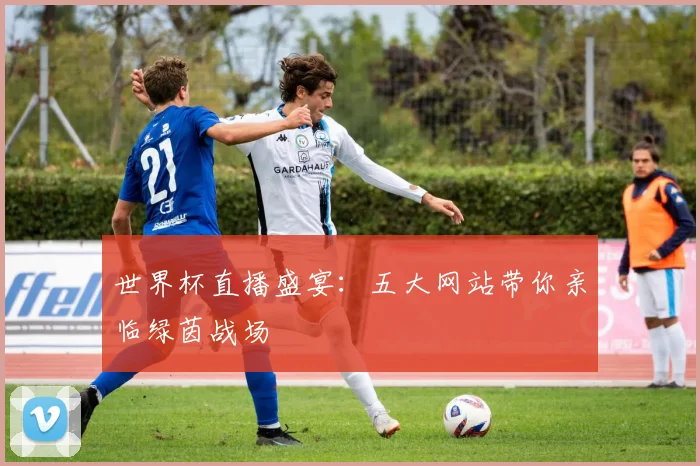 世界杯直播盛宴:五大网站带你亲临绿茵战场