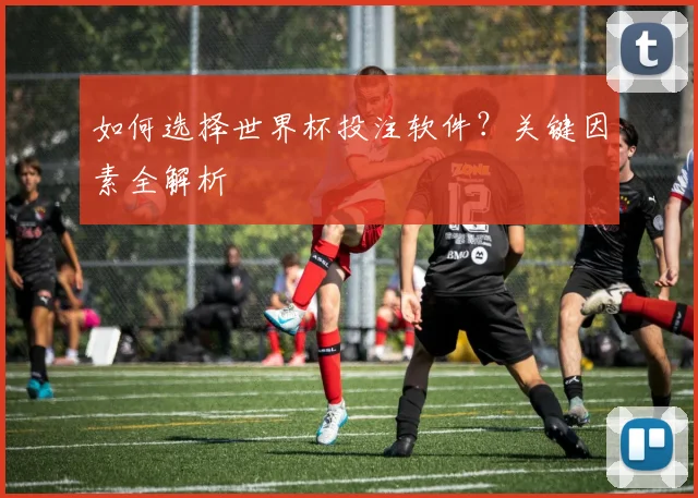 如何选择世界杯投注软件？关键因素全解析