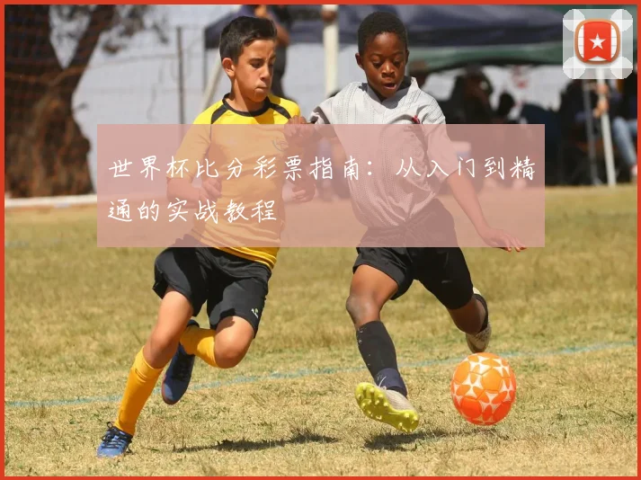 世界杯比分彩票指南:从入门到精通的实战教程