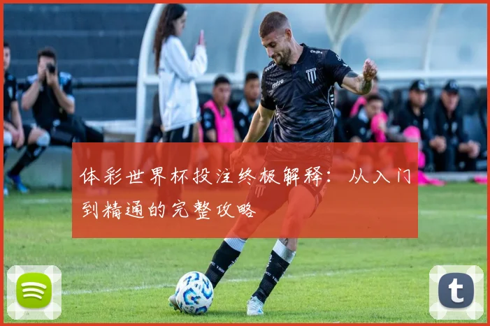 体彩世界杯投注终极解释:从入门到精通的完整攻略
