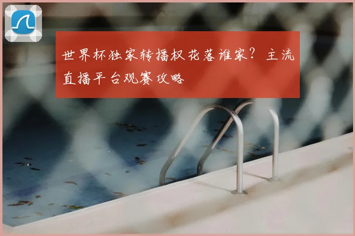 世界杯独家转播权花落谁家?主流直播平台观赛攻略