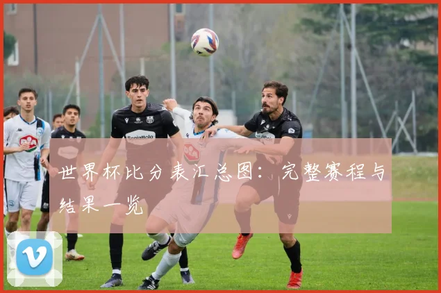 世界杯比分表汇总图：完整赛程与结果一览