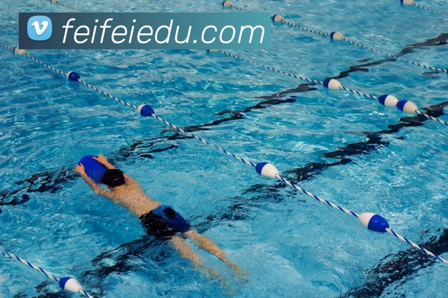 新爱体育百科平台生态图